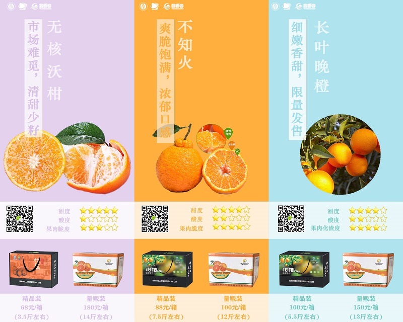 芸香谷-品牌培育7.jpg