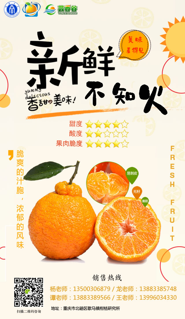 芸香谷-品牌培育9.jpg