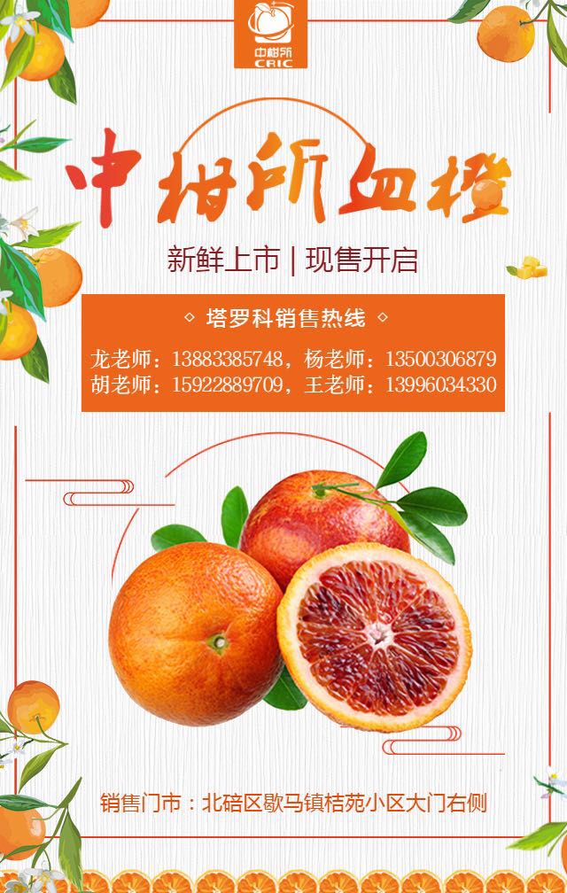 芸香谷-品牌培育11.jpg