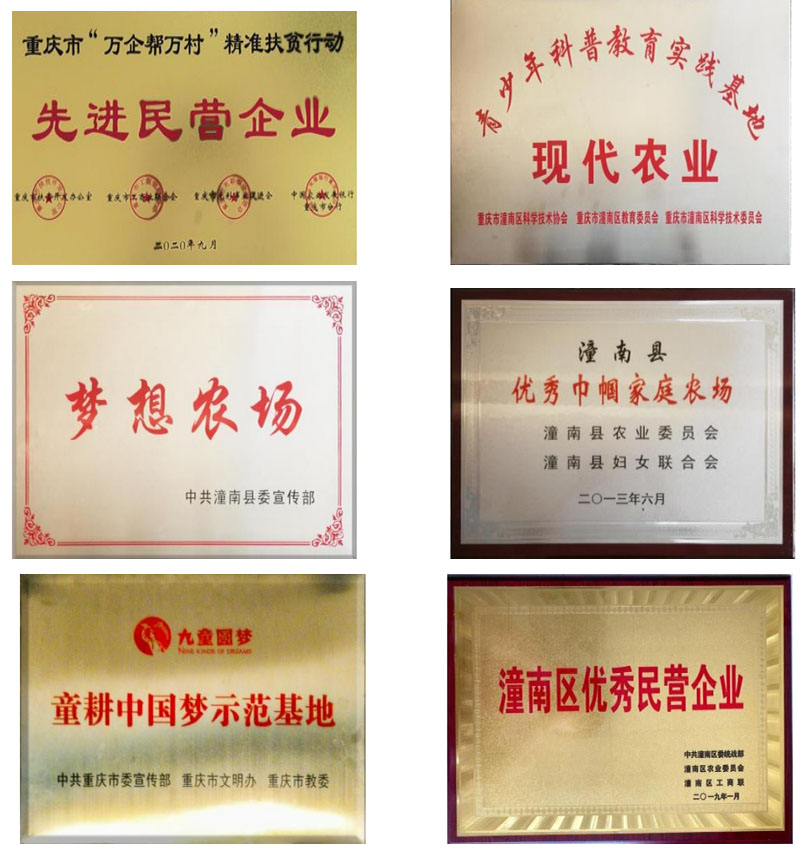 GNJ6M{AVZ04MZ(VXS@L3O32.jpg